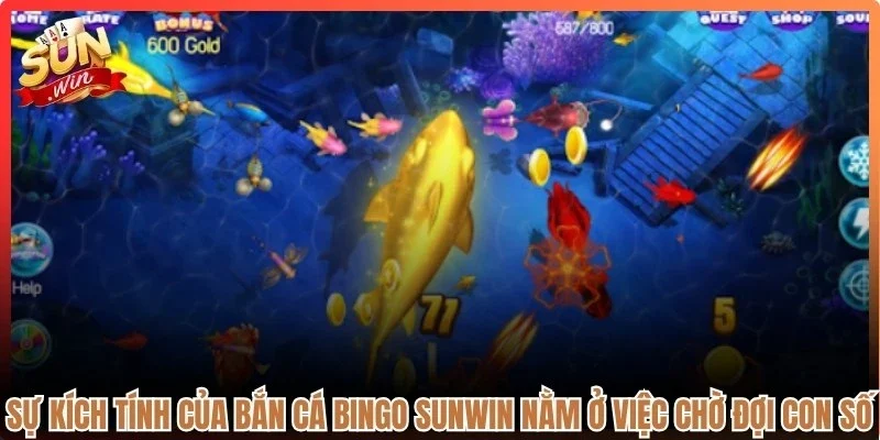 Sự kích tính của bắn cá bingo Sunwin nằm ở việc chờ đợi con số xuất hiện
