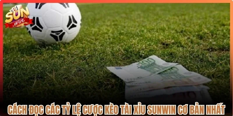 Cách đọc các tỷ lệ cược kèo tài xỉu Sunwin cơ bản nhất