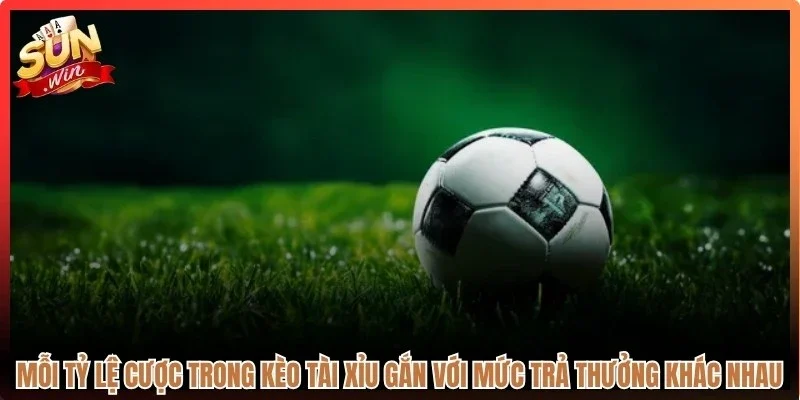 Mỗi tỷ lệ cược trong kèo tài xỉu gắn với mức trả thưởng khác nhau