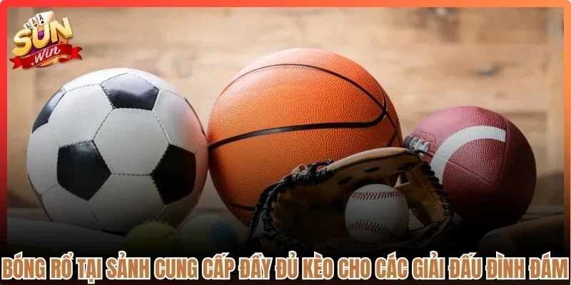 Bóng rổ tại sảnh cung cấp đầy đủ kèo cho các giải đấu đình đám