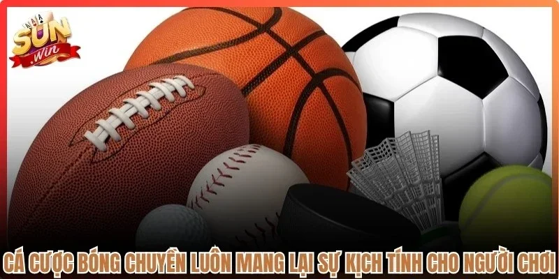 Cá cược bóng chuyền luôn mang lại sự kịch tính cho người chơi 